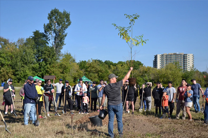 Tree Planting With the Cowan Team